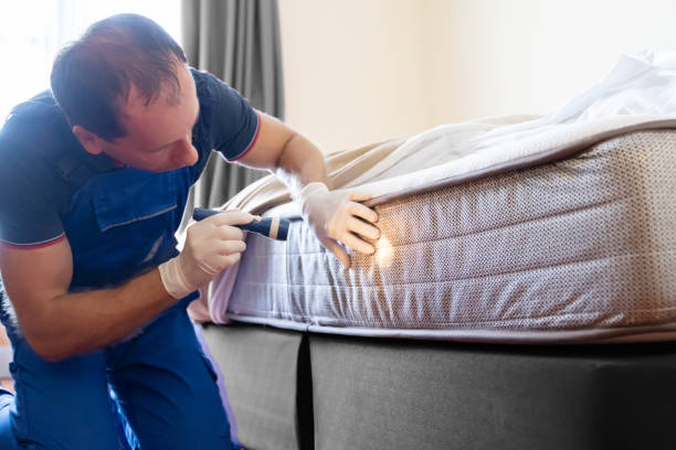 Best Bed Bug Extermination  in Holtville, AL